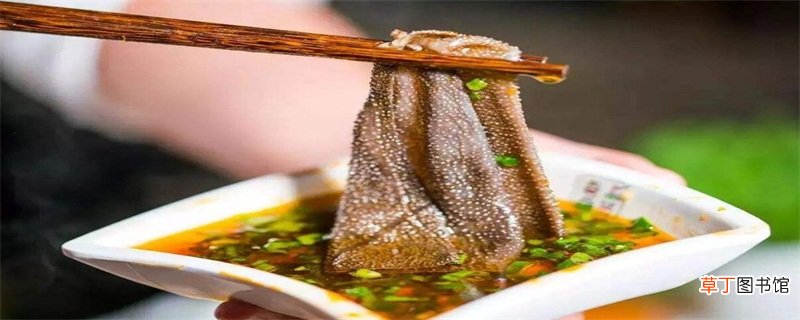 毛肚是什么部位