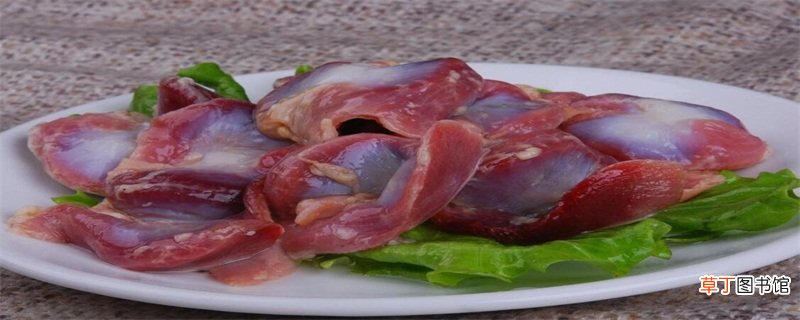 鸡肫是什么部位