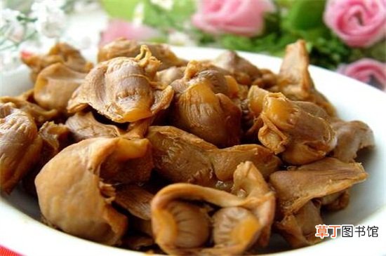 鸡肫是什么部位