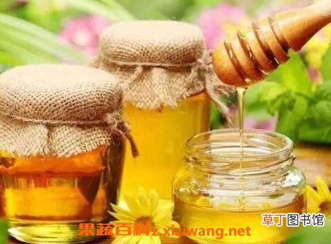 蜂蜜水能空腹喝吗 空腹喝蜂蜜水好吗