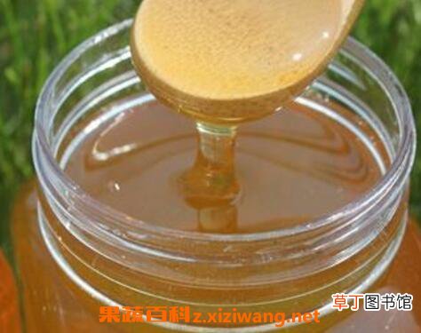 蜂蜜水能空腹喝吗 空腹喝蜂蜜水好吗