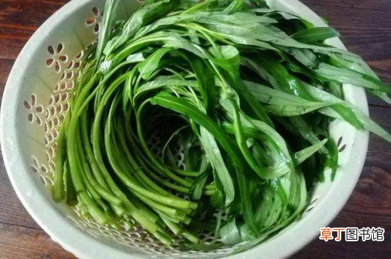 怎么摘空心菜