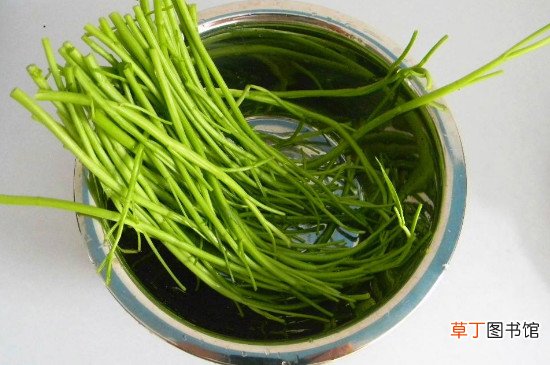 怎么摘空心菜