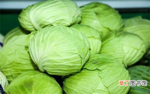 包菜的功效和营养价值有哪些-包菜的六大功效详解
