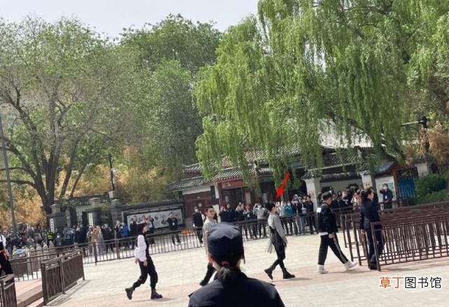 苗苗产后综艺首秀与老公合体,郑恺坐公交“追妻”?