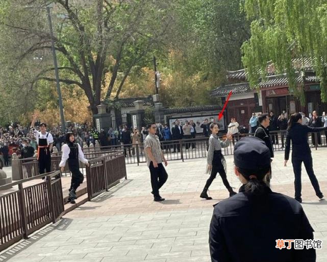 苗苗产后综艺首秀与老公合体,郑恺坐公交“追妻”?