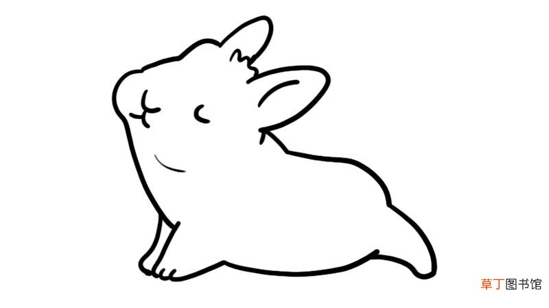 小肥兔简笔画