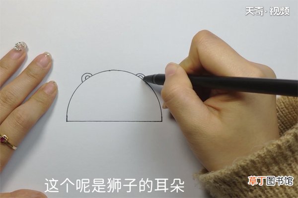 狮子的画法