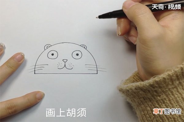 狮子的画法