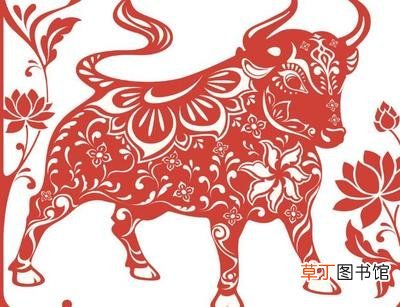 牛宝宝忌什么属相父母 属牛宝宝最好不要哪月生