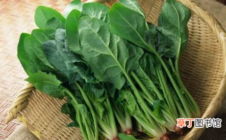什么食物补血补气最好最快-六大补血较好的食物