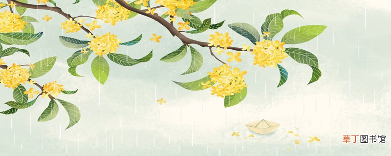 雨过山村古诗带拼音版雨过山村翻译