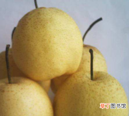 肠胃不好经常拉肚子怎么调理-吃什么食物对肠胃好