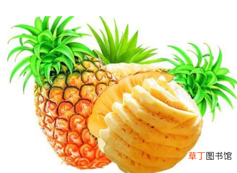 肠胃不好经常拉肚子怎么调理-吃什么食物对肠胃好