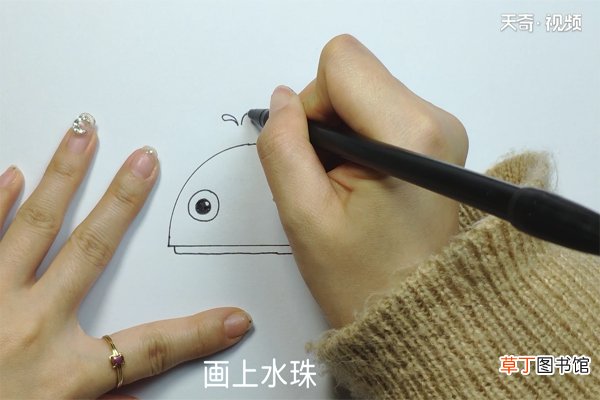 金鱼的画法