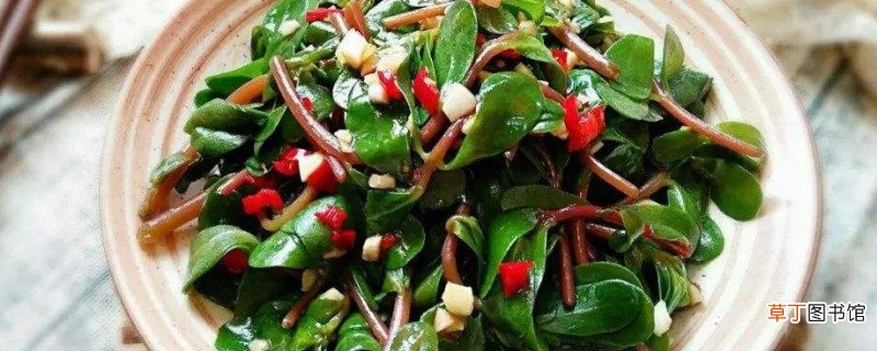 冷冻的马齿苋还能用吗