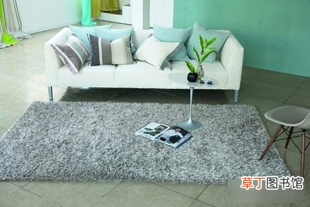 地毯可以用洗衣机洗吗-家庭须知