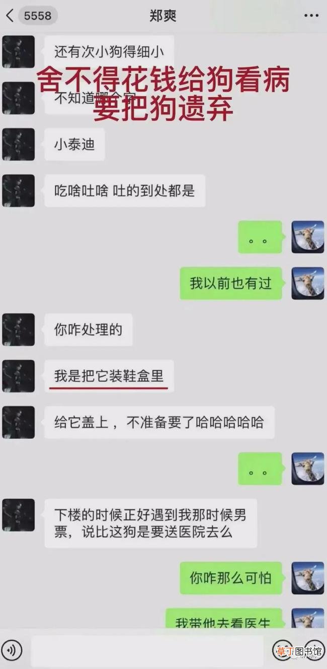 在金钱面前，郑爽的疯魔和葛朗台不相上下