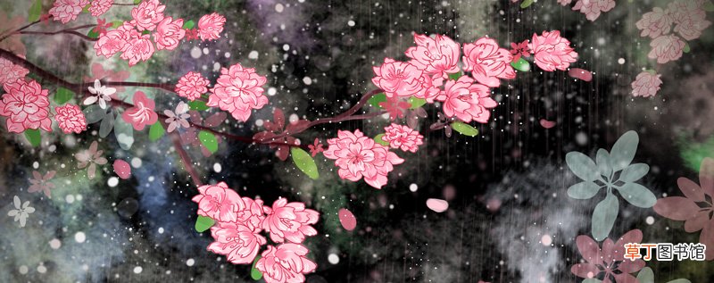 化作春泥更护花上全诗 化作春泥更护花全诗翻译