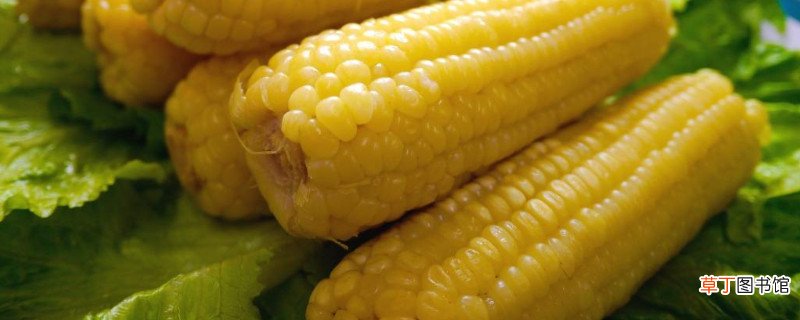 玉米代替主食会发胖吗