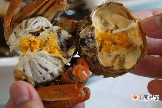 蟹膏和蟹黄是螃蟹的什么