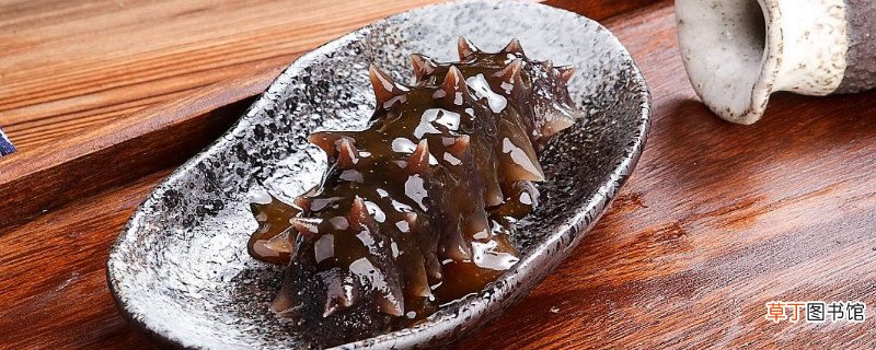 哪些人不适合吃海参
