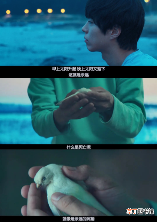 164亿韩元的投资，真比不上他的肉体