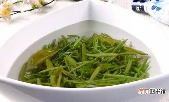 莼菜的营养及药用价值 莼菜的4种美味吃法