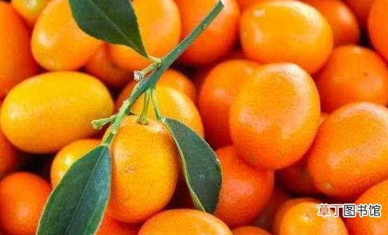 金桔的八大作用与功效 金桔的食用方法