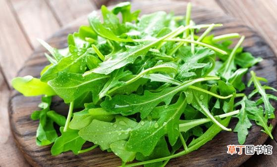 野菜的营养价值 野苋菜的好吃做法简单易学哦