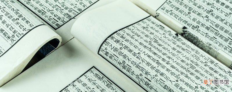友人夜访古诗翻译 友人夜访古诗翻译是什么
