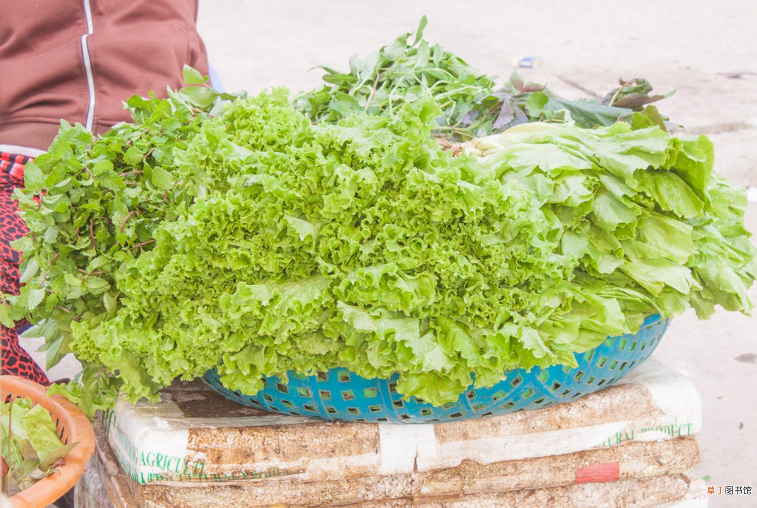 生菜是感光食物吗，如何清洗