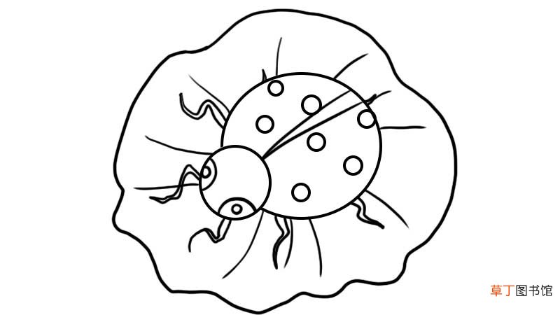 七星瓢虫简笔画教程