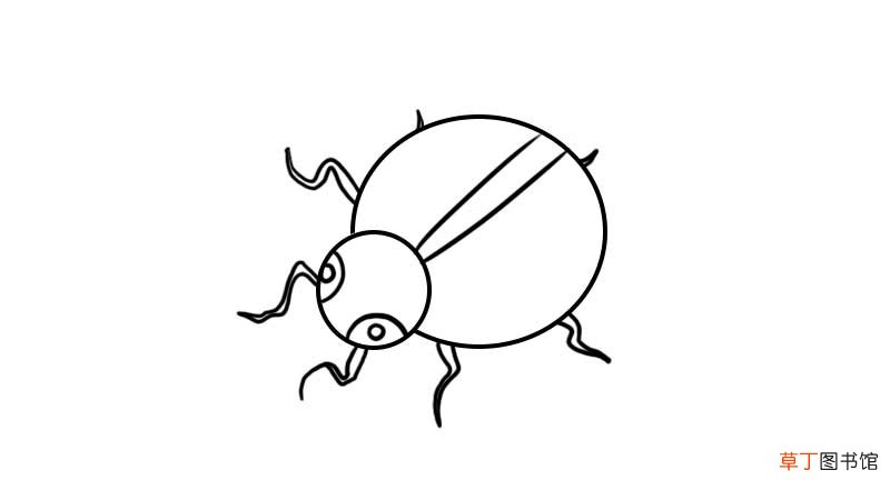 七星瓢虫简笔画教程