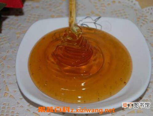 枣花蜂蜜有什么功效与作用 吃枣花蜂蜜的好处