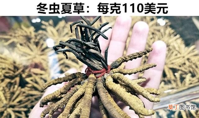 比黄金还贵的8个物品 比黄金还贵的值钱的东西盘点