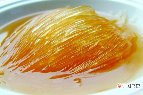 鱼翅是什么