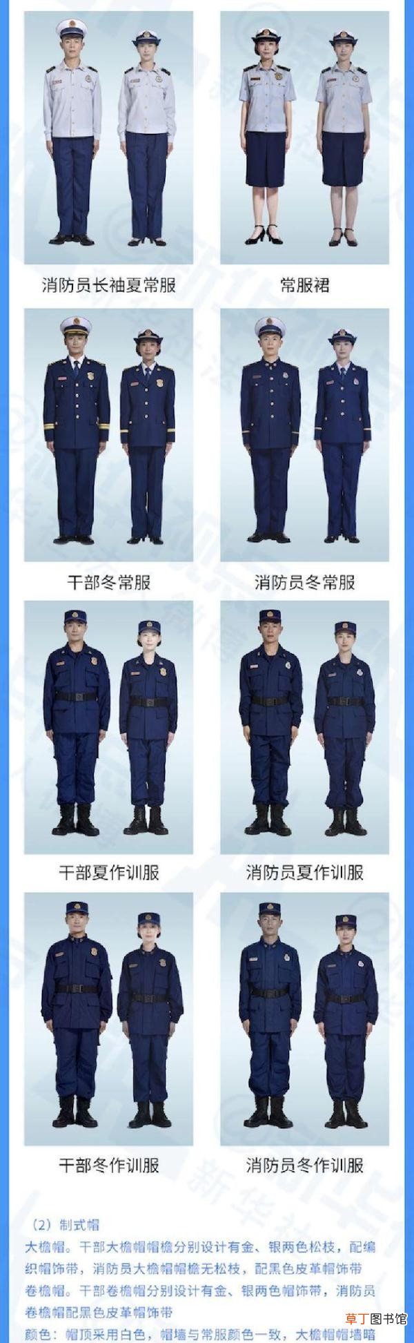 关于火焰蓝的这些小秘密 橄榄枝代表什么