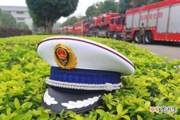 关于火焰蓝的这些小秘密 橄榄枝代表什么