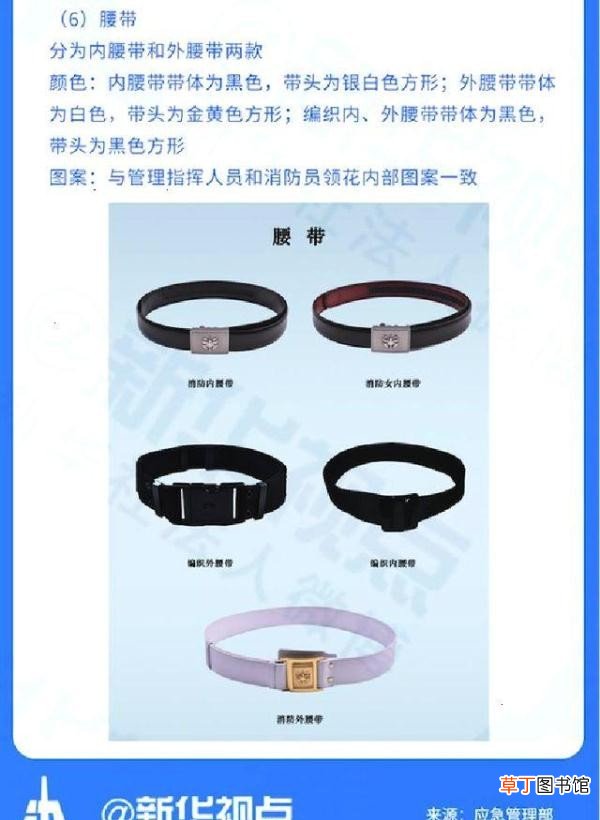 关于火焰蓝的这些小秘密 橄榄枝代表什么