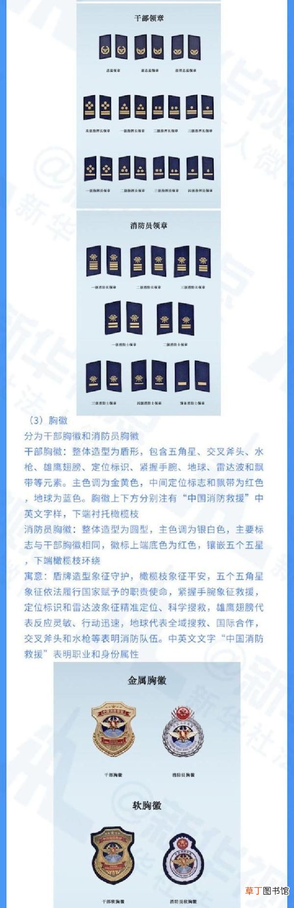 关于火焰蓝的这些小秘密 橄榄枝代表什么
