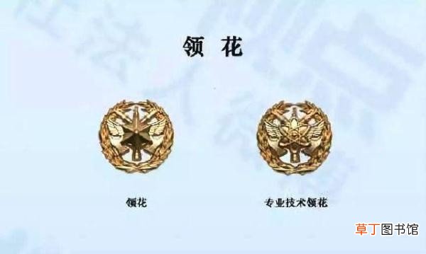 关于火焰蓝的这些小秘密 橄榄枝代表什么