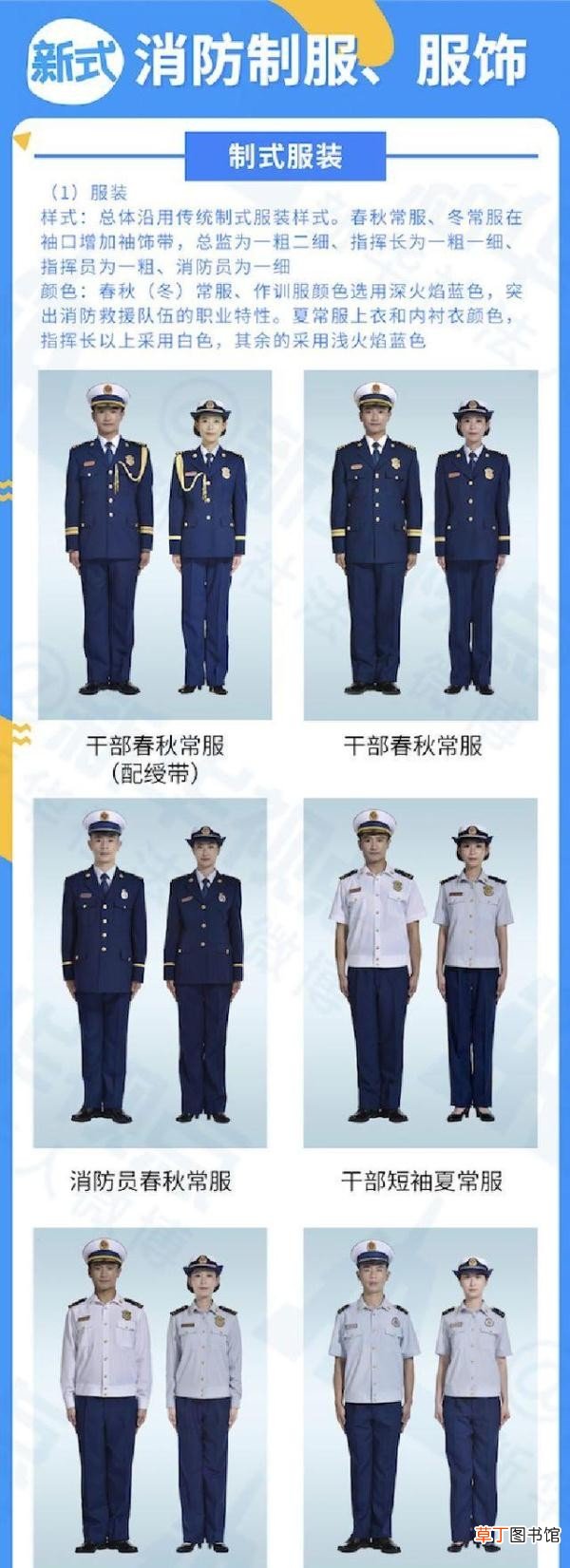关于火焰蓝的这些小秘密 橄榄枝代表什么
