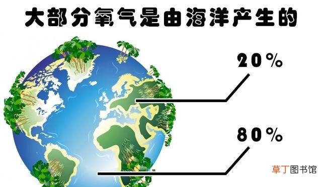 存在的6个自相矛盾的事实 自相矛盾的例子