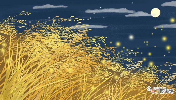 枫桥夜泊题目的意思是什么 枫桥夜泊的意思及翻译