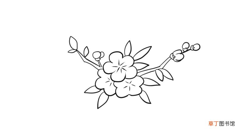 桃花图片简笔画画法桃花图片简笔画怎么画