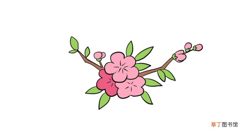 桃花图片简笔画画法桃花图片简笔画怎么画