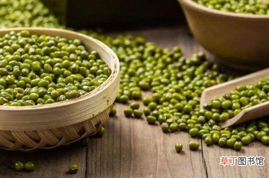驴肉可以和绿豆一起吃吗