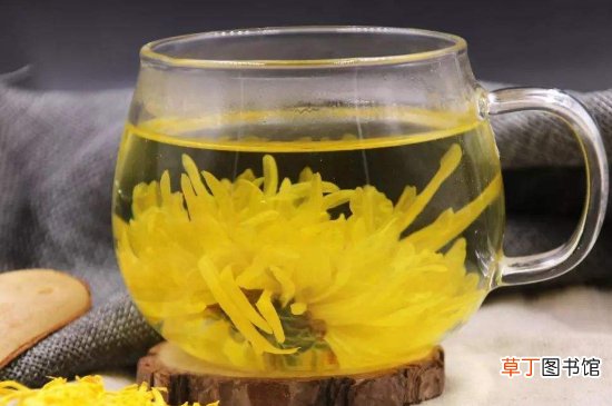 蜂蜜可以和菊花一起泡水喝吗