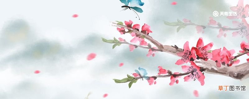 清平乐主要讲什么 清平乐的内容